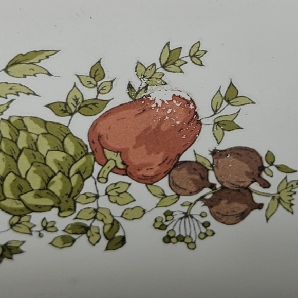 Corning Ware 1969-1972 Spice Of Life A-21-B 4 Litre Rectangular Casserole Dish - Picture 9 of 14